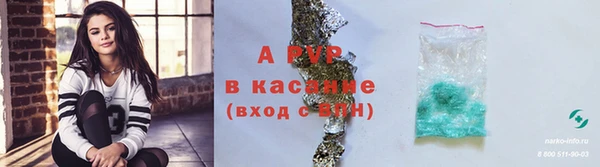 стафф Алзамай