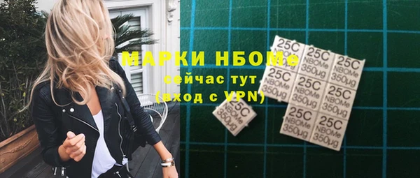 стафф Алзамай