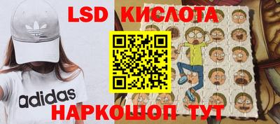 прущие грибы Краснознаменск