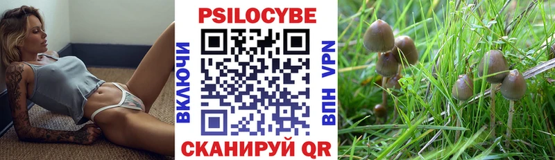 Галлюциногенные грибы Cubensis  купить наркоту  Лобня 
